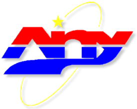 any_logo